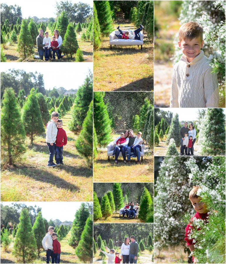Christmas Tree Minis 2020 In Orlando Fl Santa S Tree Farm Portrayable Photography Orlando Fl Portrait And Wedding Photographer